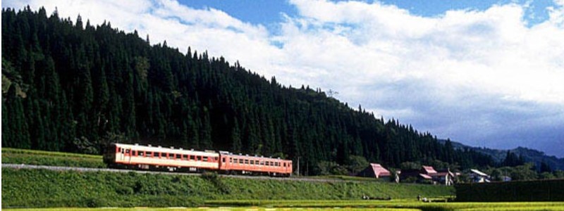 �s���J�얫�t�����ŕK���̖��`�[�Y�P�[�L�ɁI���T�C�g